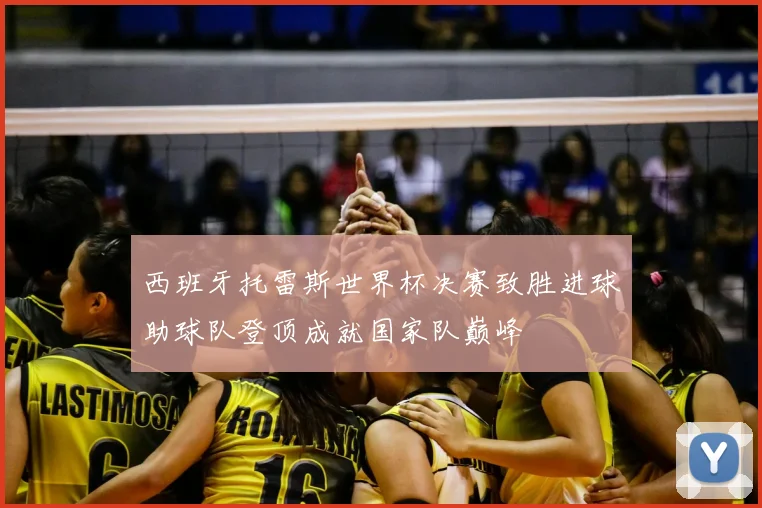 西班牙托雷斯世界杯决赛致胜进球助球队登顶成就国家队巅峰