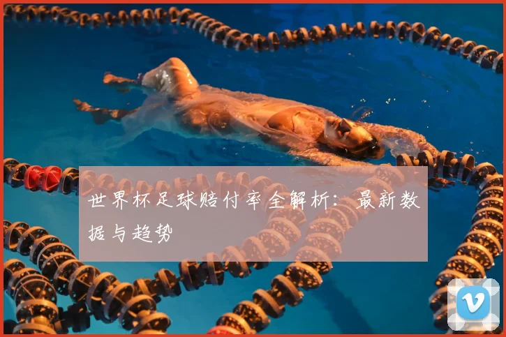 世界杯足球赔付率全解析:最新数据与趋势