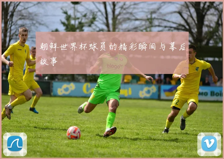 朝鲜世界杯球员的精彩瞬间与幕后故事