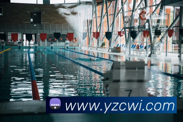 滚球买球的app平台生态图