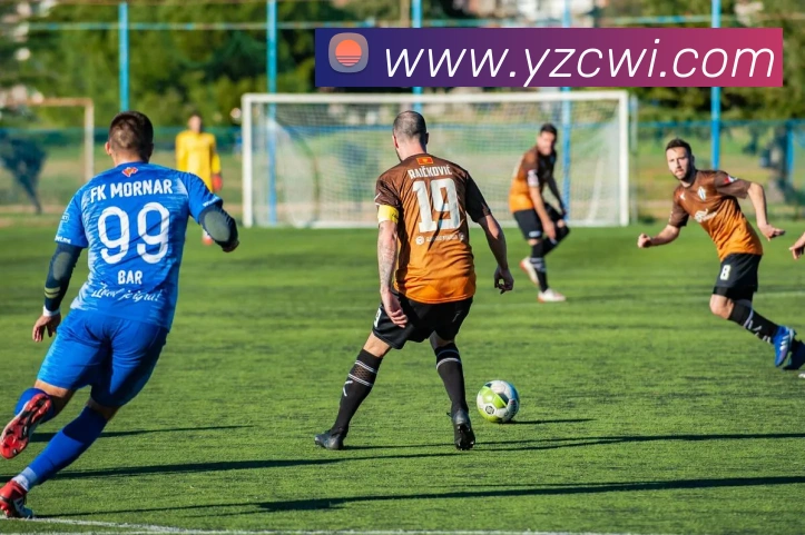 滚球买球的appAPP 封面图